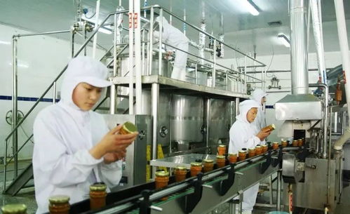 怎么查汽车过户了多少年(如何查询汽车过户了多少年—全面解析过户车辆年限查询方法) 怎么查汽车过户了多少年(如何查询汽车过户了多少年—全面解析过户车辆年限查询方法)