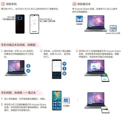 华为标签怎么同步到电脑(华为标签同步至电脑的步骤详解) 华为标签怎么同步到电脑(华为标签同步至电脑的步骤详解)