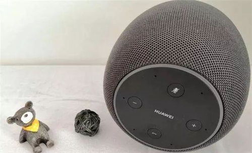 华为音箱怎么打开电脑控制(华为音箱与电脑连接及控制,探索智能生活的无限可能) 华为音箱怎么打开电脑控制(华为音箱与电脑连接及控制,探索智能生活的无限可能)