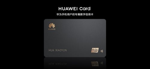 华为礼包卡在电脑怎么用(华为礼包卡在电脑上的使用指南) 华为礼包卡在电脑怎么用(华为礼包卡在电脑上的使用指南)