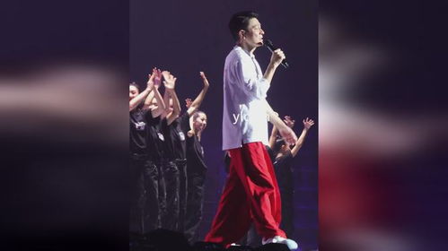 鹿晗演唱会直拍(鹿晗演唱会直拍,热血舞台上的真实魅力) 鹿晗演唱会直拍(鹿晗演唱会直拍,热血舞台上的真实魅力)