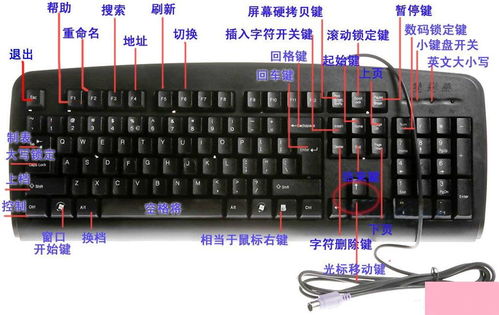 华为电脑怎么找键盘位置(华为电脑键盘位置指南,轻松找到键盘上的每个键) 华为电脑怎么找键盘位置(华为电脑键盘位置指南,轻松找到键盘上的每个键)