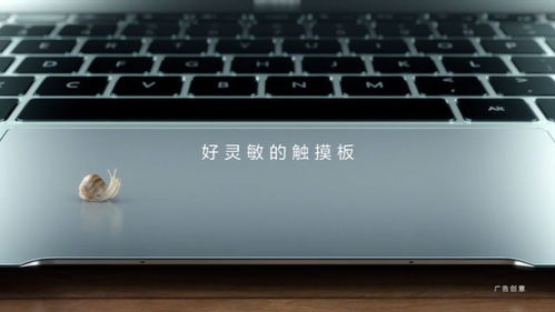 华为电脑剪刀怎么用图解(华为电脑剪刀使用指南图解) 华为电脑剪刀怎么用图解(华为电脑剪刀使用指南图解)