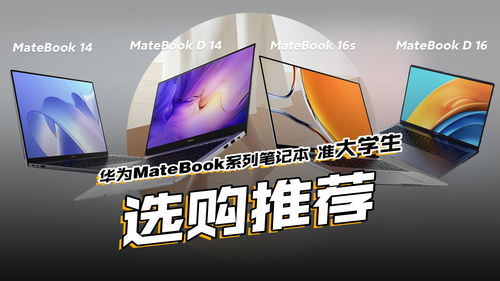 学生华为电脑怎么选购好(学生华为电脑选购攻略) 学生华为电脑怎么选购好(学生华为电脑选购攻略)