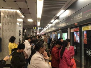 南京地铁S1线故障 乘客摸黑走隧道(南京地铁S1线突发故障,乘客摸黑走隧道) 南京地铁S1线故障 乘客摸黑走隧道(南京地铁S1线突发故障,乘客摸黑走隧道)