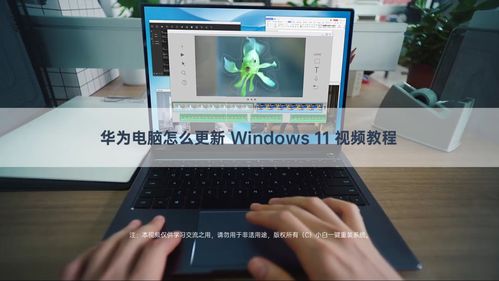 华为电脑系统怎么激活(华为电脑系统激活全攻略) 华为电脑系统怎么激活(华为电脑系统激活全攻略)