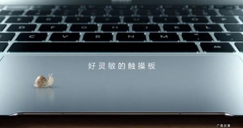 华为视频电脑上怎么播放(华为视频电脑上播放指南) 华为视频电脑上怎么播放(华为视频电脑上播放指南)
