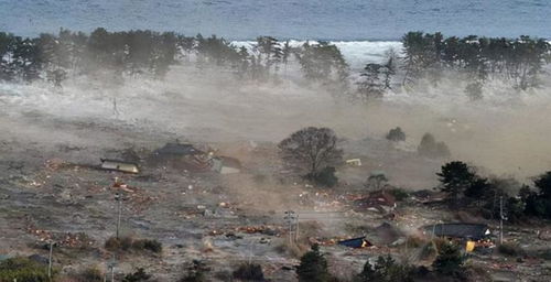 在日华人谈日本大地震预言：一笑而过(在日华人谈日本大地震预言，一笑而过)