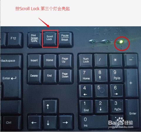 电脑键盘灯怎么开启华为(华为电脑键盘灯怎么开启—详细指南)