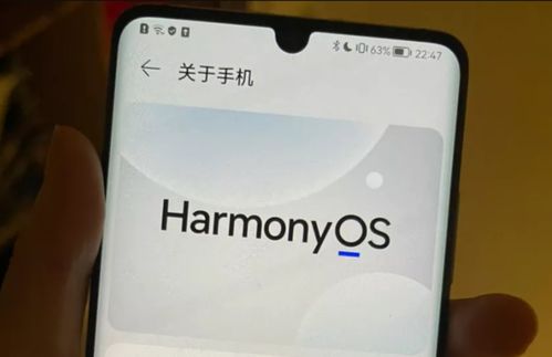 华为电脑怎么更新鸿蒙(华为电脑如何更新鸿蒙系统—详细指南) 华为电脑怎么更新鸿蒙(华为电脑如何更新鸿蒙系统—详细指南)