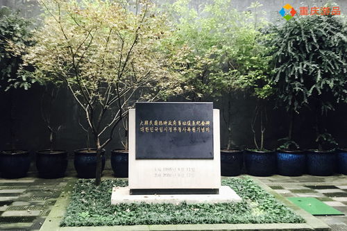 杨少华曾卖房借钱给儿子买古玩(杨少华曾卖房借钱给儿子买古玩的故事) 杨少华曾卖房借钱给儿子买古玩(杨少华曾卖房借钱给儿子买古玩的故事)