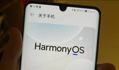 华为电脑怎么打白条(华为电脑与白条支付，智能科技与金融服务的完美结合)
