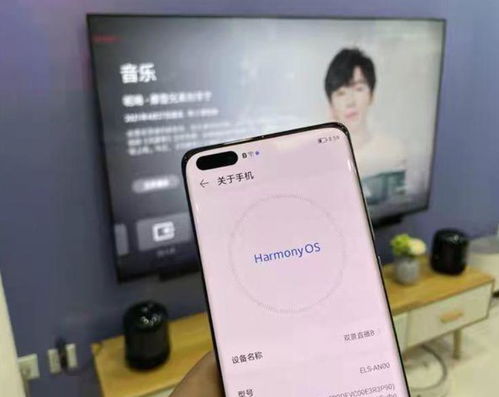 电脑怎么穿华为手机(电脑与华为手机的无缝连接,如何实现在电脑中使用华为手机) 电脑怎么穿华为手机(电脑与华为手机的无缝连接,如何实现在电脑中使用华为手机)