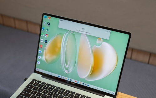 怎么选购华为电脑(华为电脑选购指南) 怎么选购华为电脑(华为电脑选购指南)