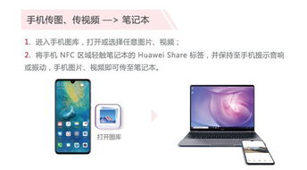 华为电脑怎么打开华为share(华为电脑如何打开华为Share功能) 华为电脑怎么打开华为share(华为电脑如何打开华为Share功能)
