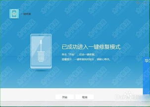 华为怎么在电脑上刷机(华为电脑上如何进行刷机操作) 华为怎么在电脑上刷机(华为电脑上如何进行刷机操作)