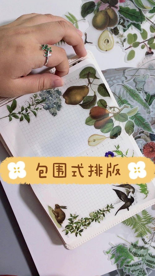 华为手机桌面怎么排版 华为手机桌面怎么排版