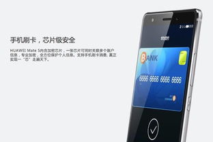 华为手机怎么开启走步 华为手机怎么开启走步