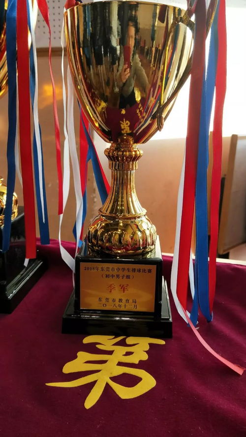 华为手机桌面怎么排 华为手机桌面怎么排