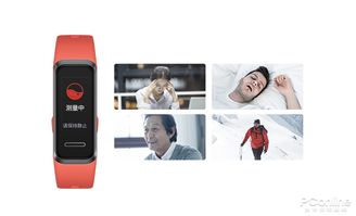 华为手机怎么监控手环 华为手机怎么监控手环