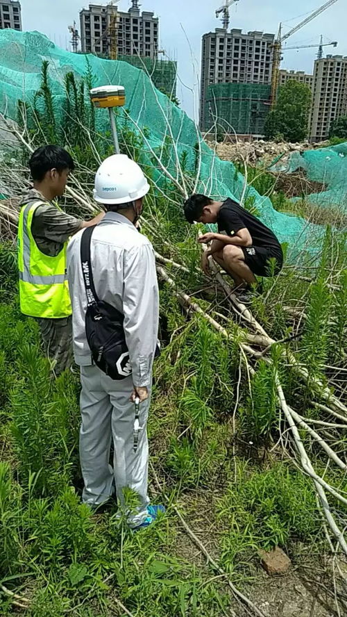 华为手机桌面怎么放 华为手机桌面怎么放