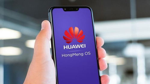 华为手机直播怎么对焦 华为手机直播怎么对焦