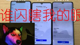 代购华为手机怎么入账 代购华为手机怎么入账