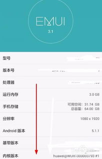 华为手机代码怎么查 华为手机代码怎么查