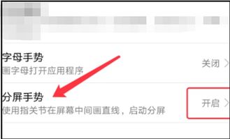 华为手机分频怎么禁止 华为手机分频怎么禁止