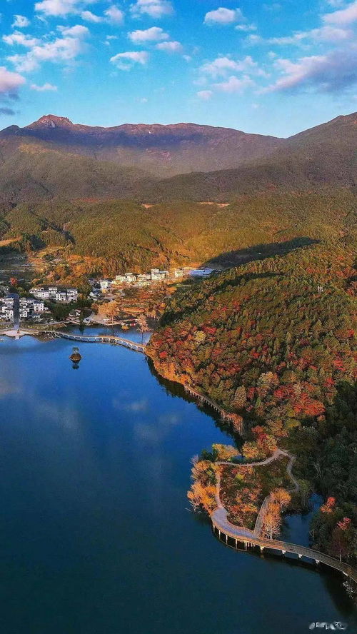 华为手机桌面怎么动 华为手机桌面怎么动