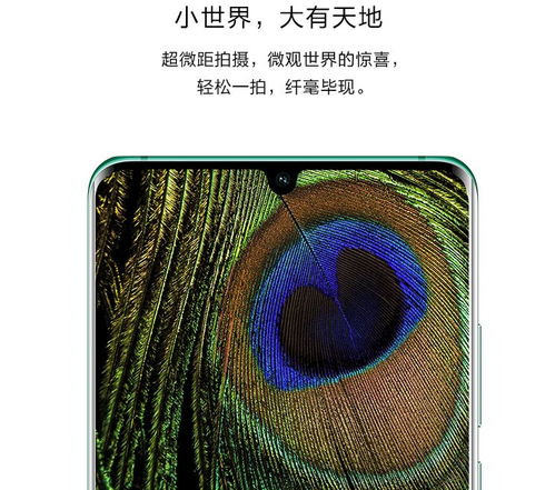 华为手机日语怎么拍摄 华为手机日语怎么拍摄