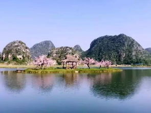 怎么关掉华为手机桌面