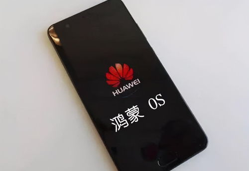 鸿蒙华为手机怎么升级 鸿蒙华为手机怎么升级