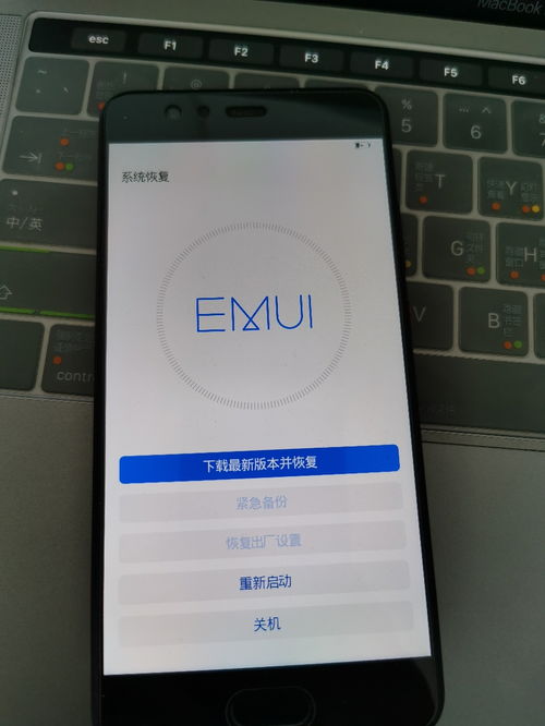 华为手机共享怎么开 华为手机共享怎么开