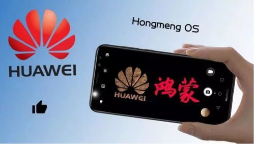 华为怎么线下抢购手机 华为怎么线下抢购手机