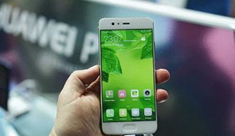 怎么查询华为手机系列 怎么查询华为手机系列