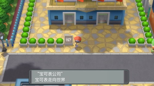 宝可梦珍珠游戏攻略图文 VS 精英小游戏游戏攻略 宝可梦珍珠游戏攻略图文 VS 精英小游戏游戏攻略
