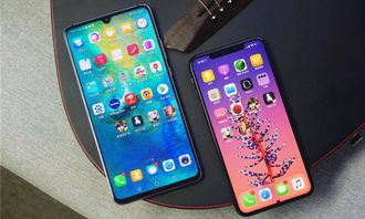 华为手机怎么拍照水果 华为手机怎么拍照水果