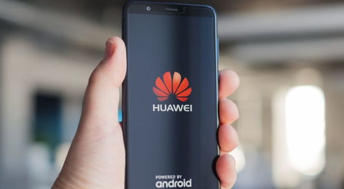 华为慧通怎么转华为手机 华为慧通怎么转华为手机
