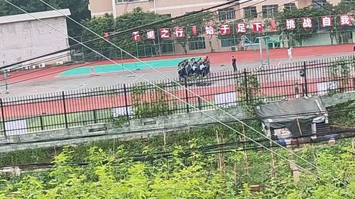 乘客称乘G2056遇多次停车最后换车