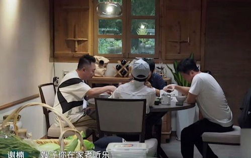 小忙乐园游戏攻略 VS 游戏攻略指北是哪个游戏 小忙乐园游戏攻略 VS 游戏攻略指北是哪个游戏