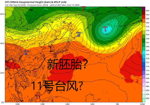 9号10号台风后11号12号也快了 9号10号台风后11号12号也快了