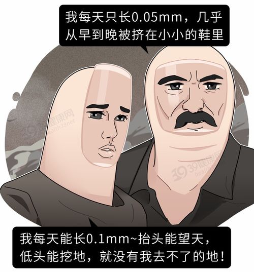 游戏maxs攻略 VS 皇帝游戏橙光游戏攻略