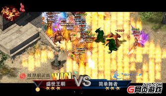 长寿游戏攻略 VS 简易攻略游戏