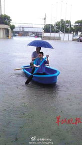 上海遭遇暴雨 锦鲤游上马路