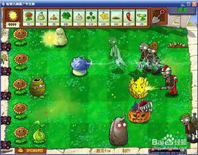 游戏年轮的游戏攻略 VS 游戏攻略植物 游戏年轮的游戏攻略 VS 游戏攻略植物