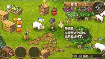 黑山攻略游戏 VS 红色绵羊游戏攻略