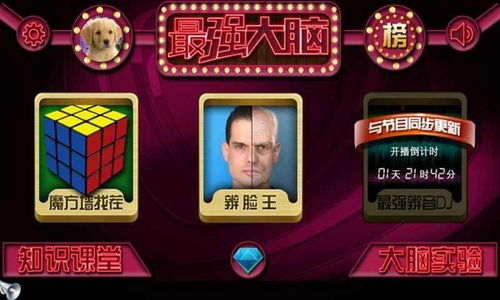 疯狂大脑游戏攻略 VS 游戏攻略师兄 疯狂大脑游戏攻略 VS 游戏攻略师兄