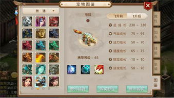 手游攻略游戏攻略 VS 攻略系列游戏通关攻略 手游攻略游戏攻略 VS 攻略系列游戏通关攻略
