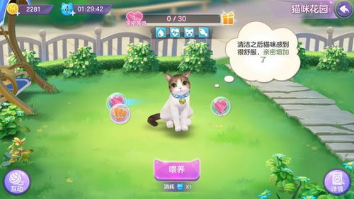 沙雕猫自驾游攻略游戏 VS 开箱游戏攻略 沙雕猫自驾游攻略游戏 VS 开箱游戏攻略
